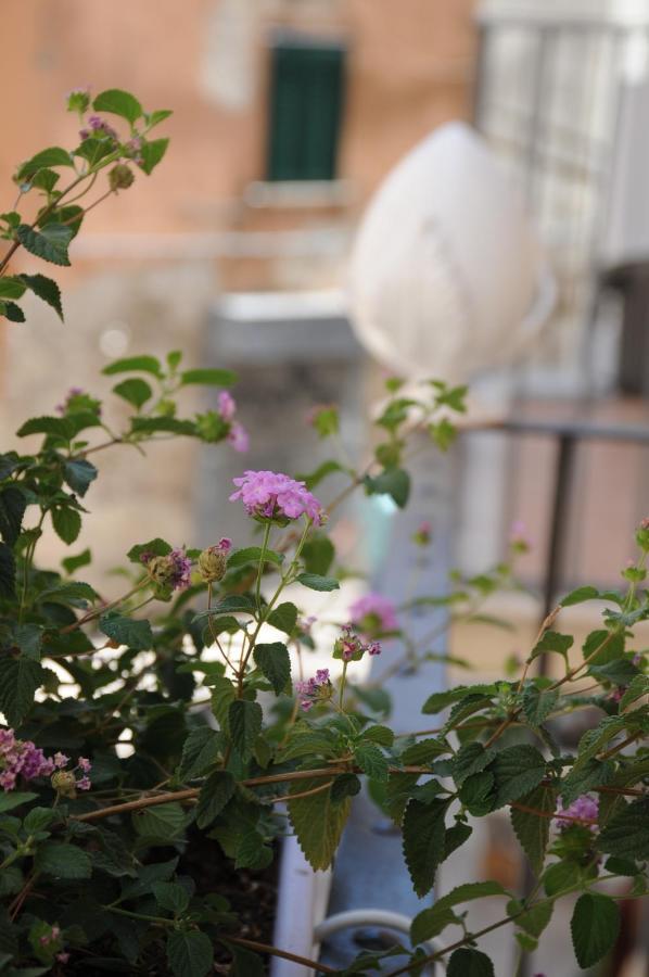 B&B Vin E Va Bari Exteriör bild